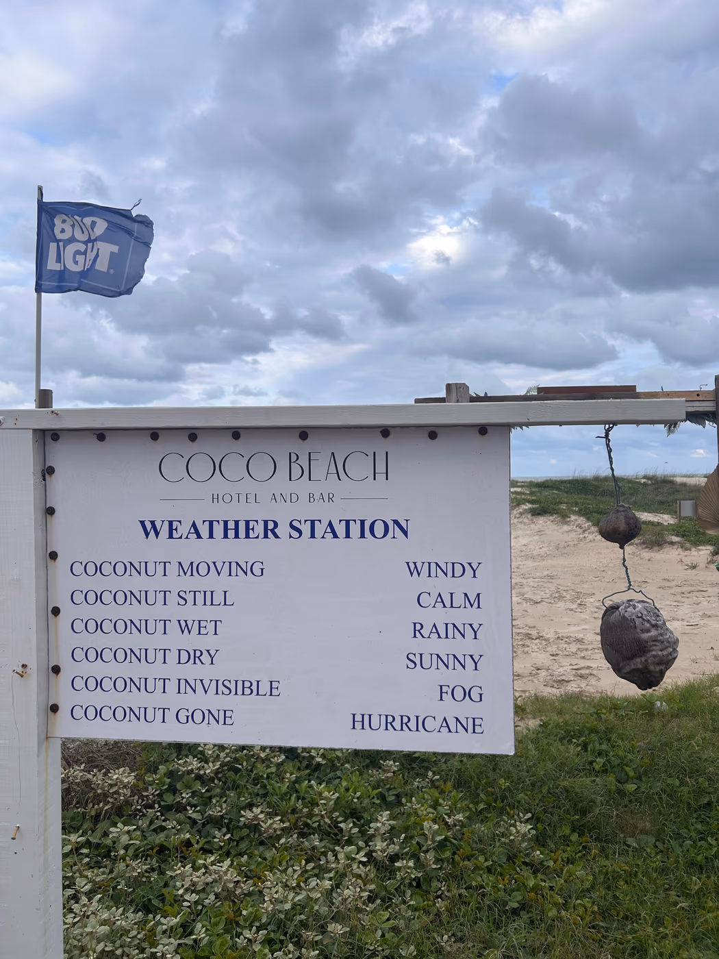 Coco Beach Club photo 3