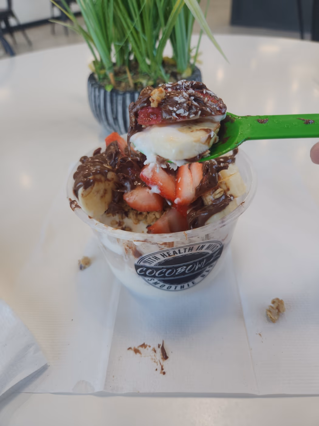 Cocobowlz photo 3