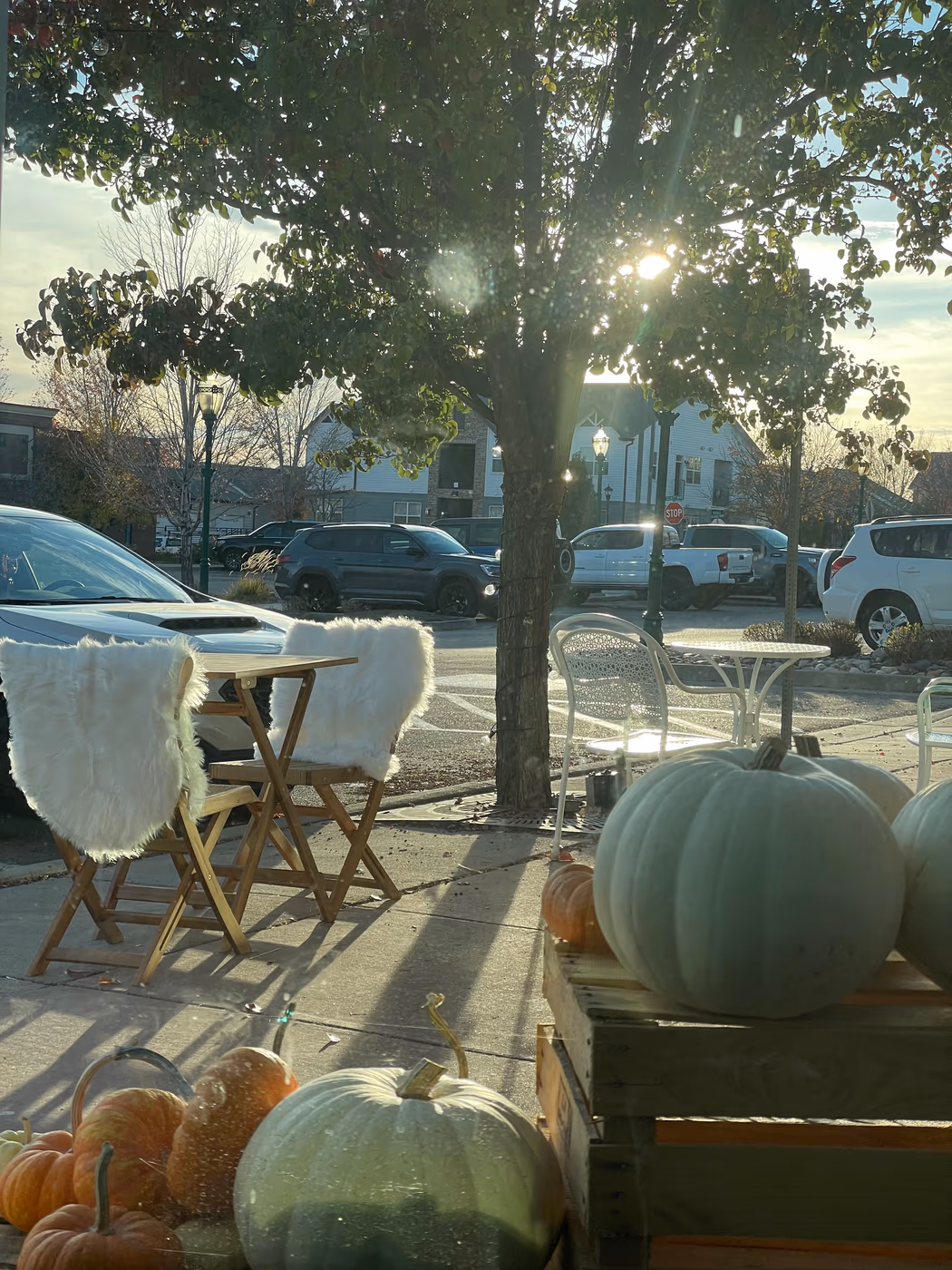 cocos | an everyday cafe + shop photo 2