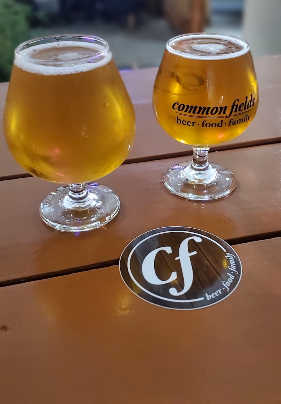 Common Fields photo 3
