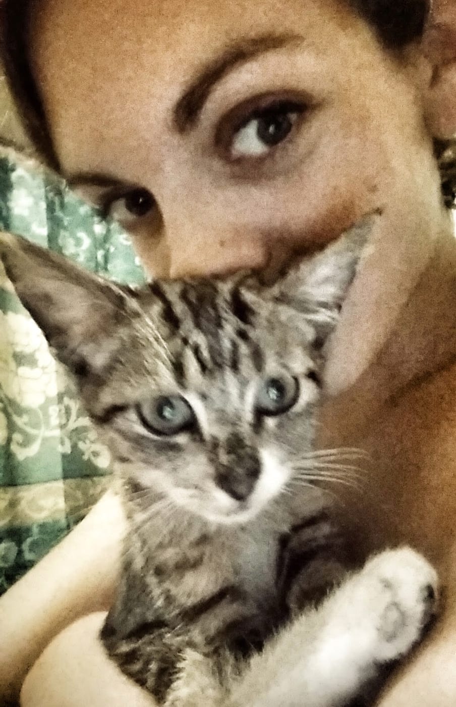 Crust Vegan Bakery photo 2