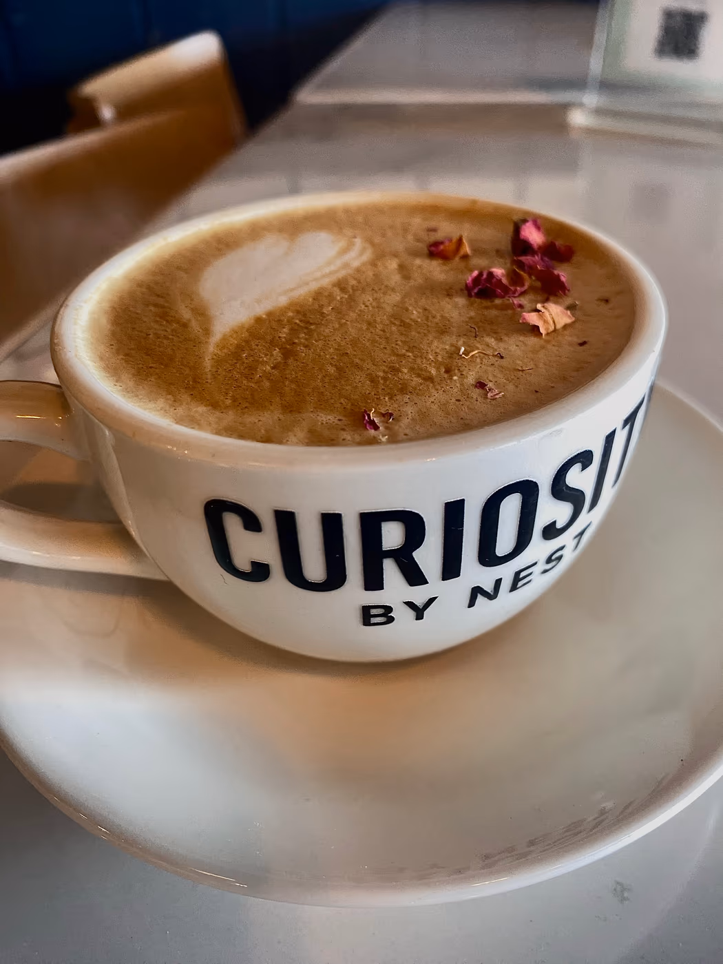 Curiosity by Nest