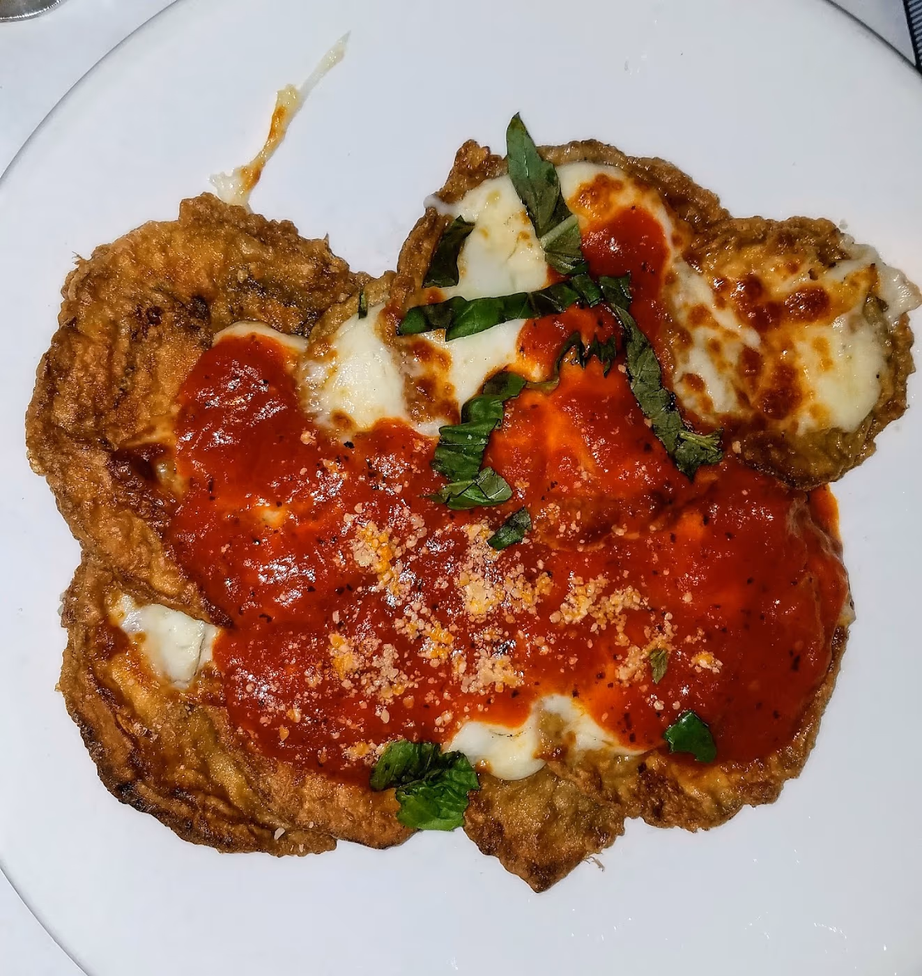 D'Agnese's