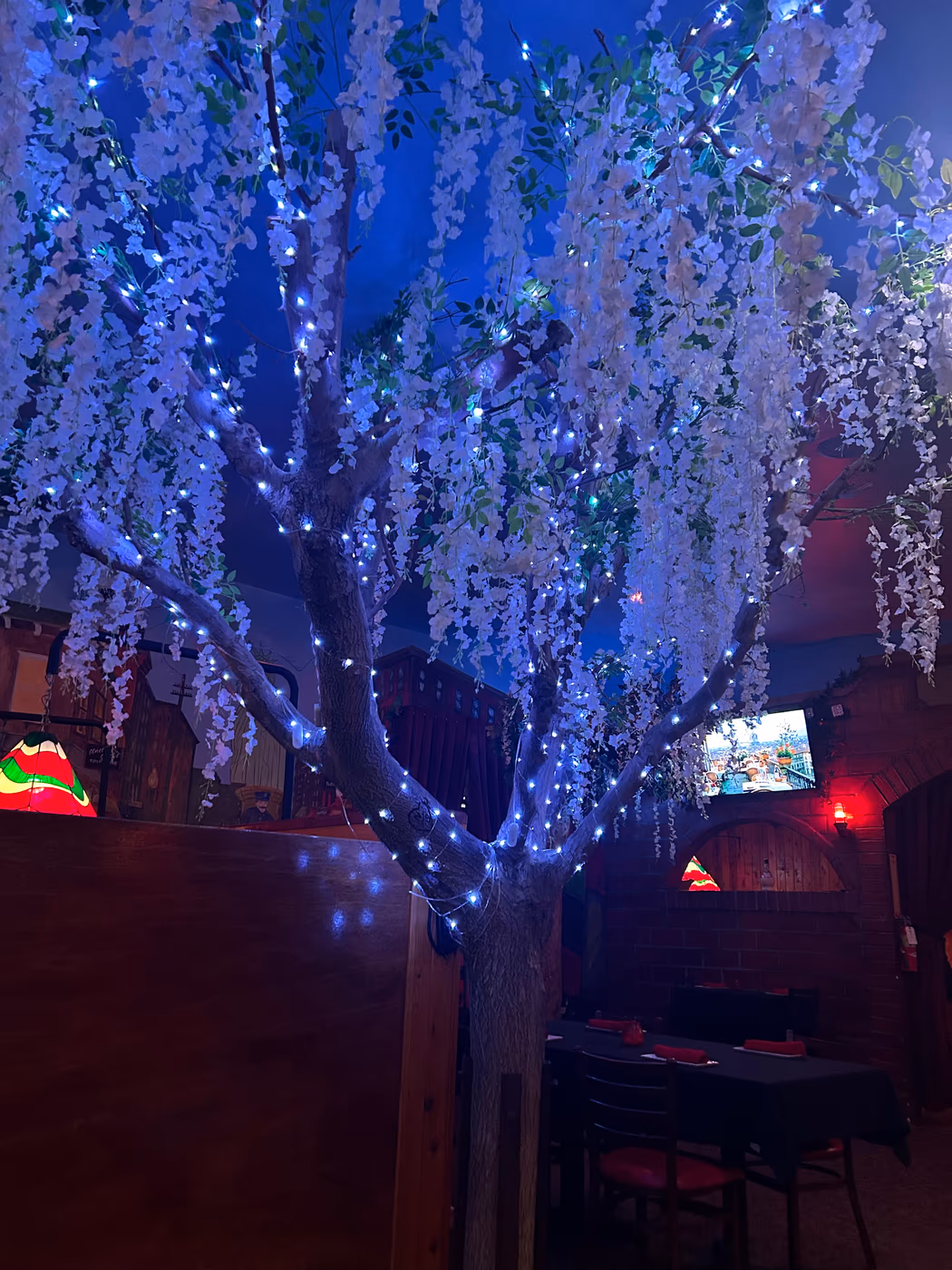 D' Cerboni's Ciao House photo 2