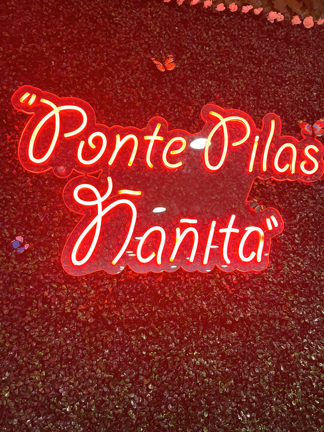 Delicias Ecuatorianas Restaurant