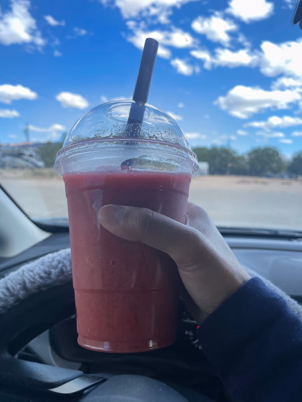 Desert Smoothie photo 4