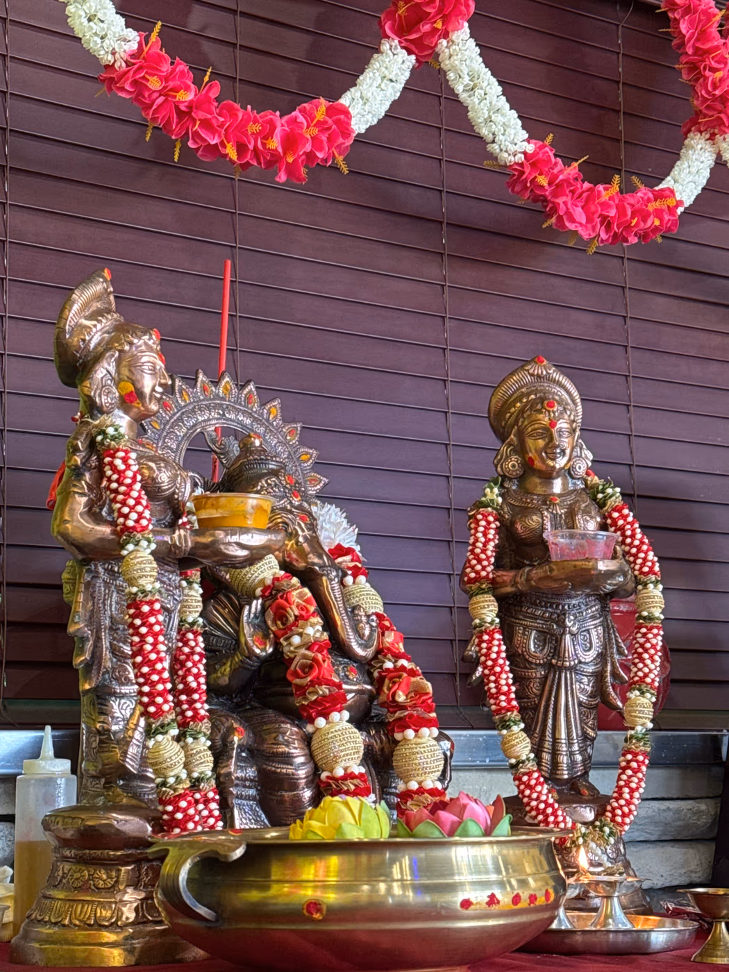 Desi Village photo 3