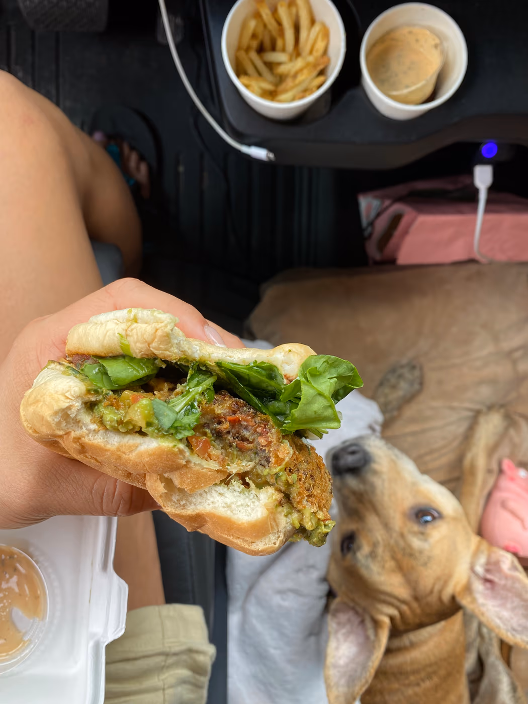 Dirt Burger photo 4