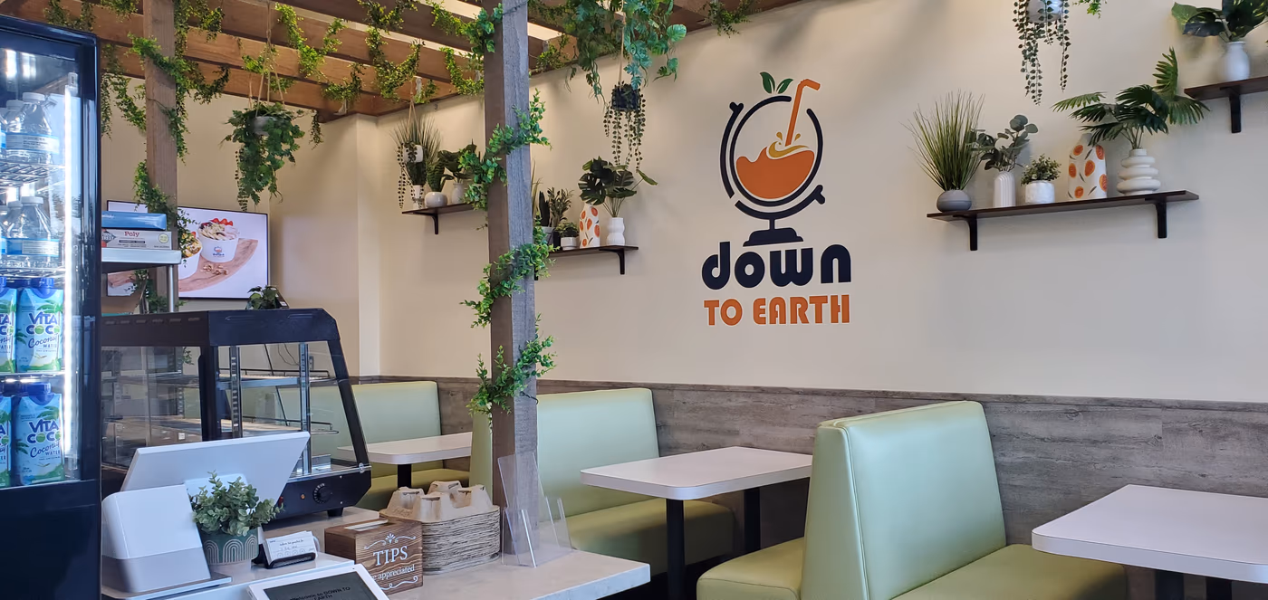 Down To Earth photo 3