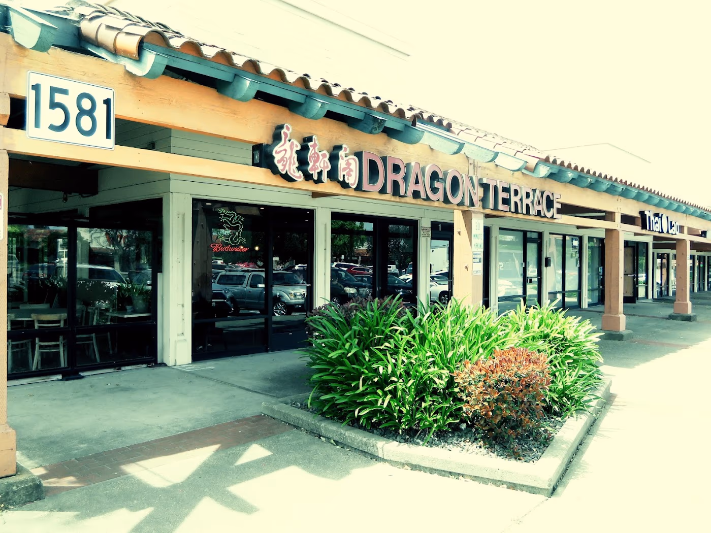 Dragon Terrace