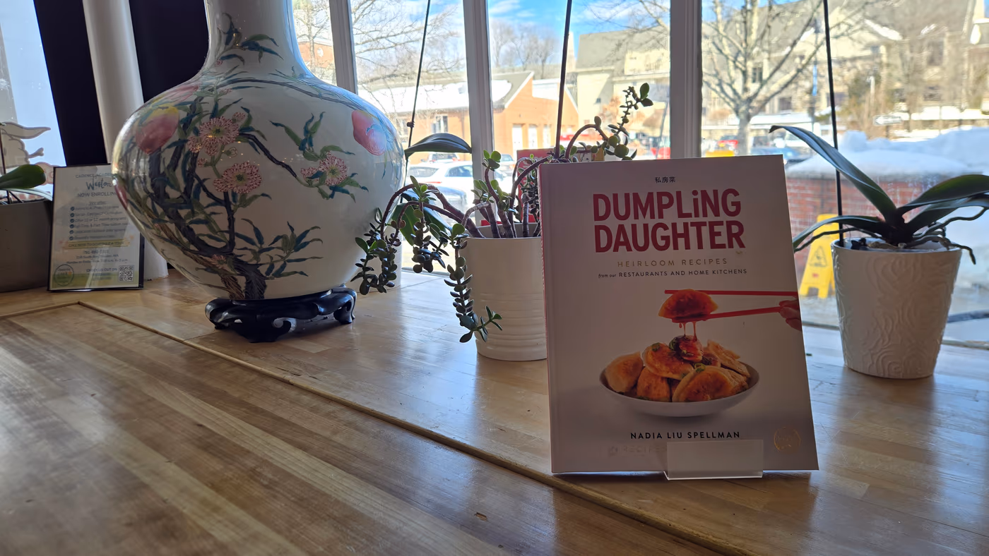 Dumpling Daughter photo 4
