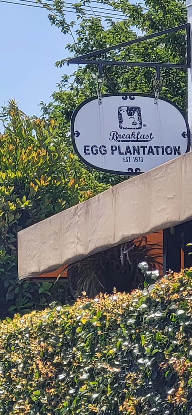 Egg Plantation photo 2