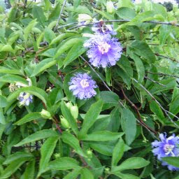 Eggheadz Cafe