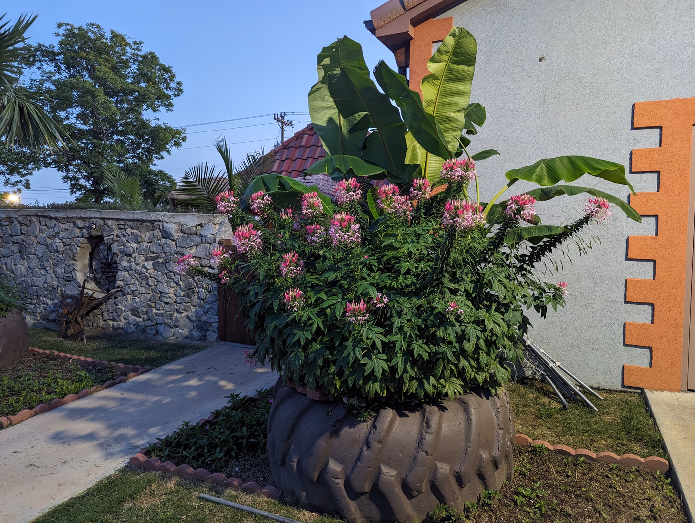 El Carrizal Mexican Restaurant & Cantina photo 3