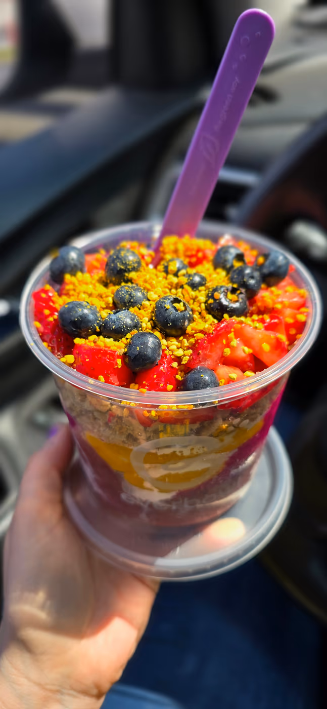 everbowl photo 2