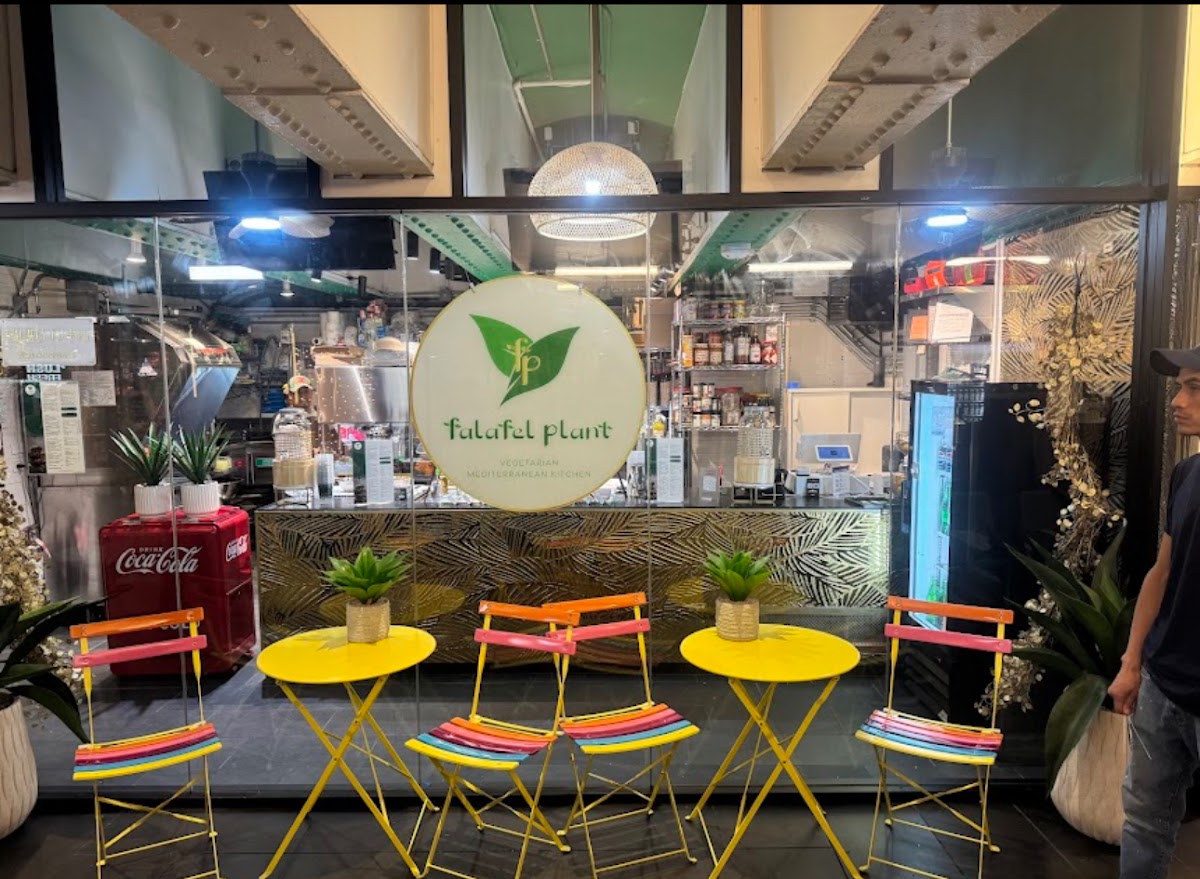 Falafel Plant
