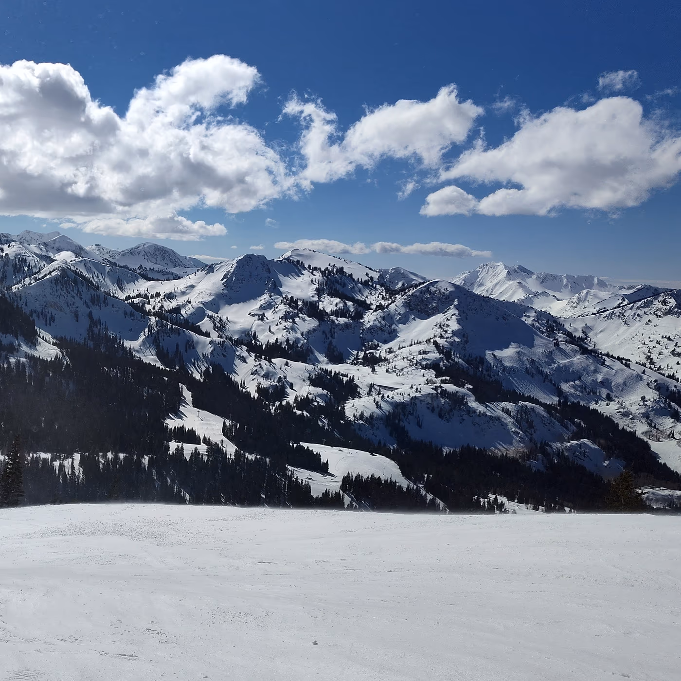 First Meeting Noodle