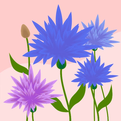 Flower Child photo 3