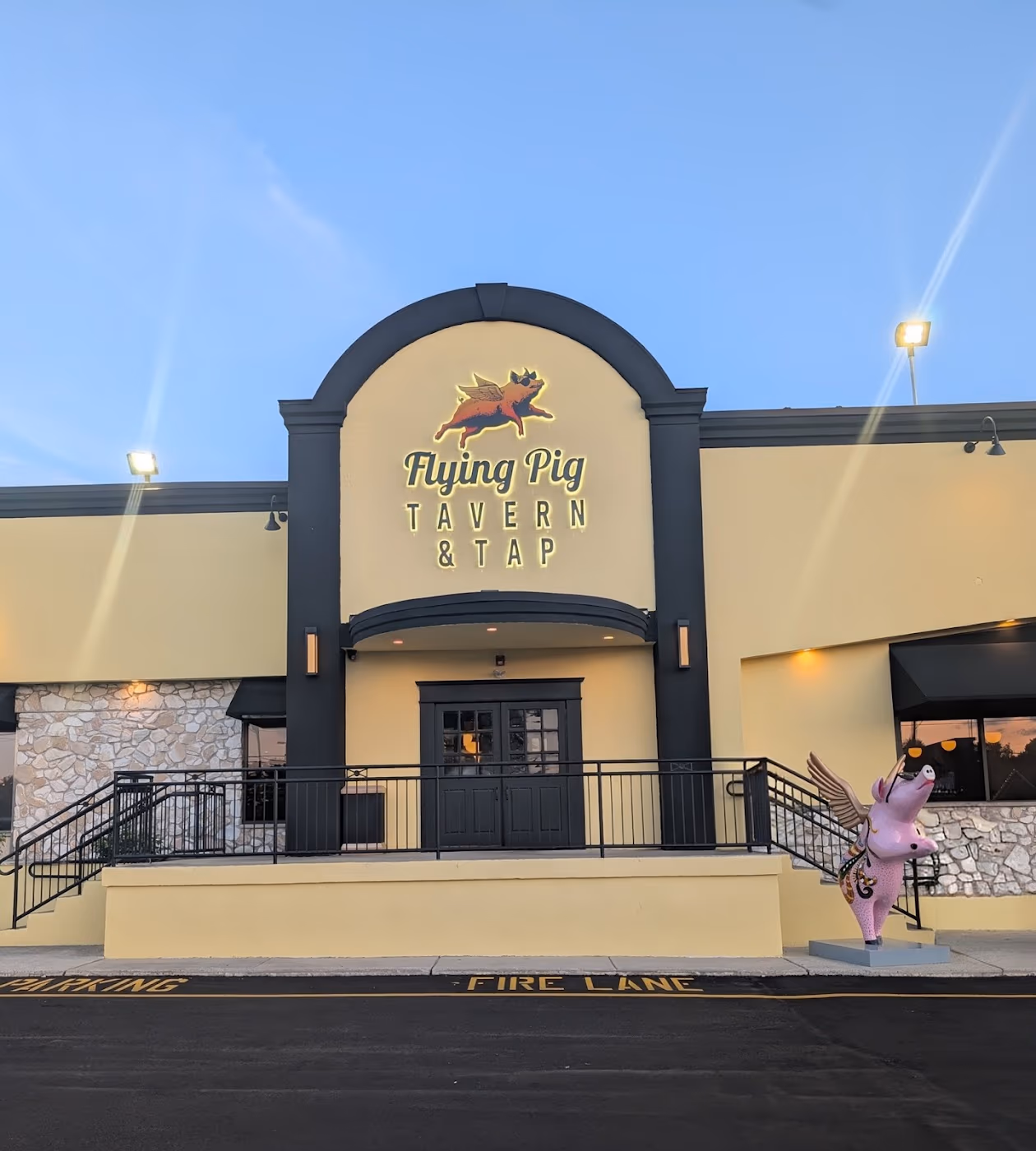 Flying Pig Blackwood