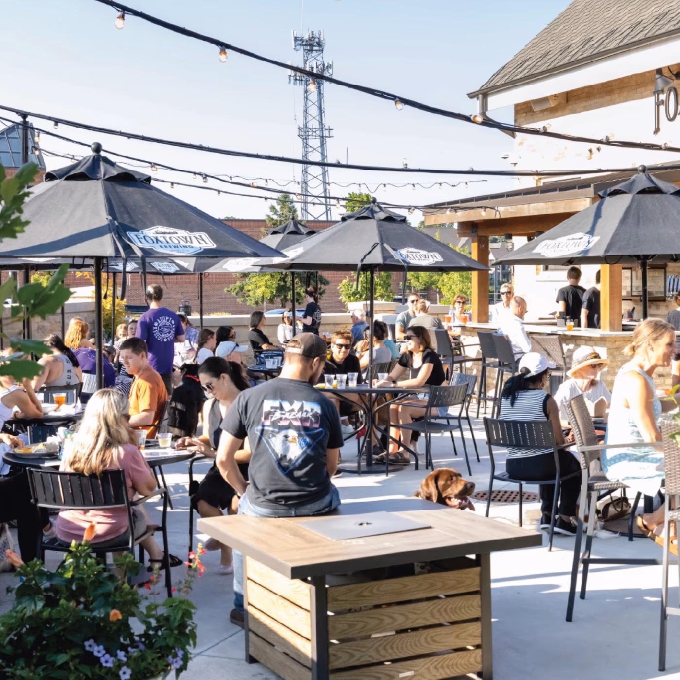 Foxtown Brewing