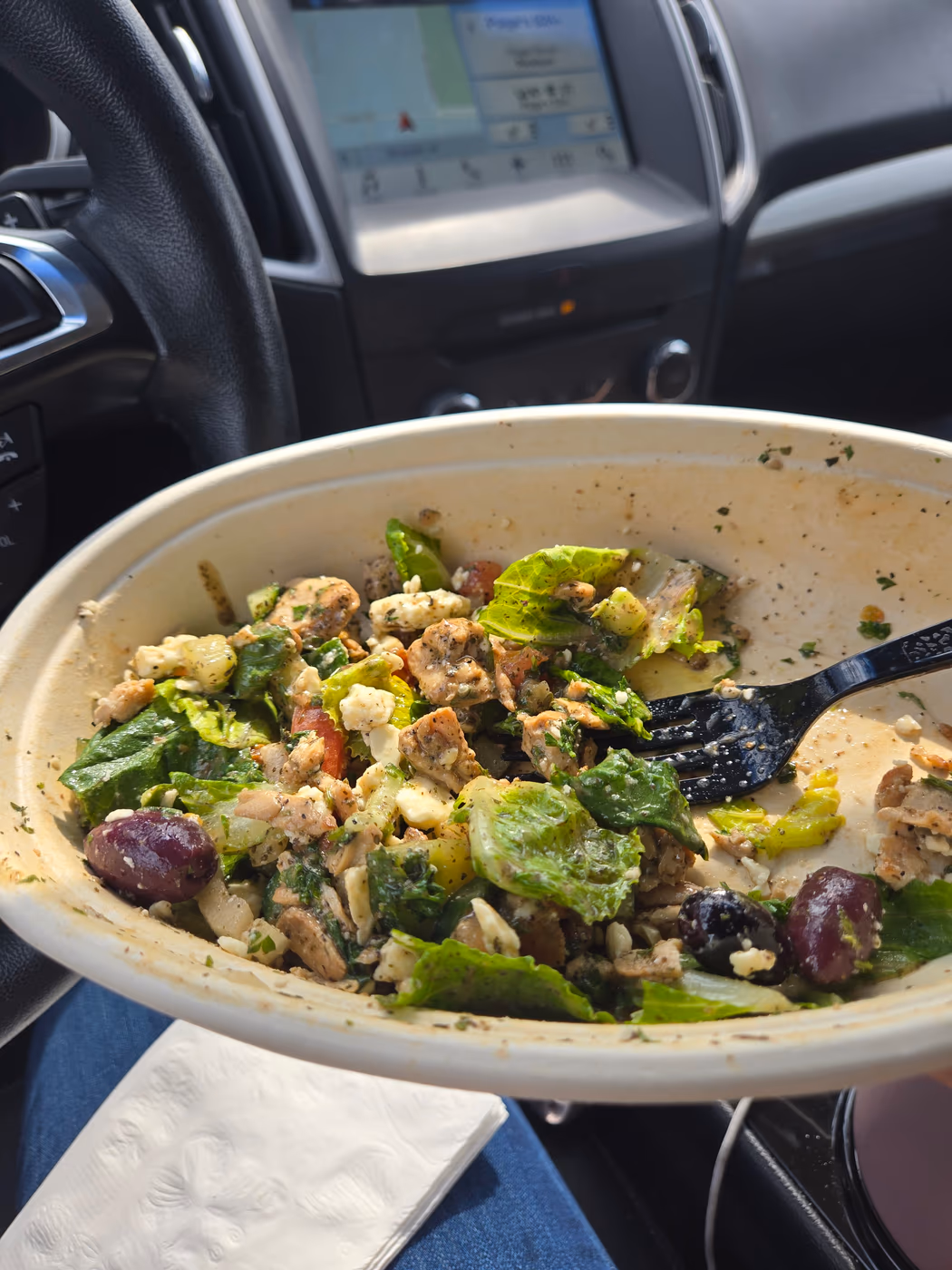 Fusion Mediterranean Grill
