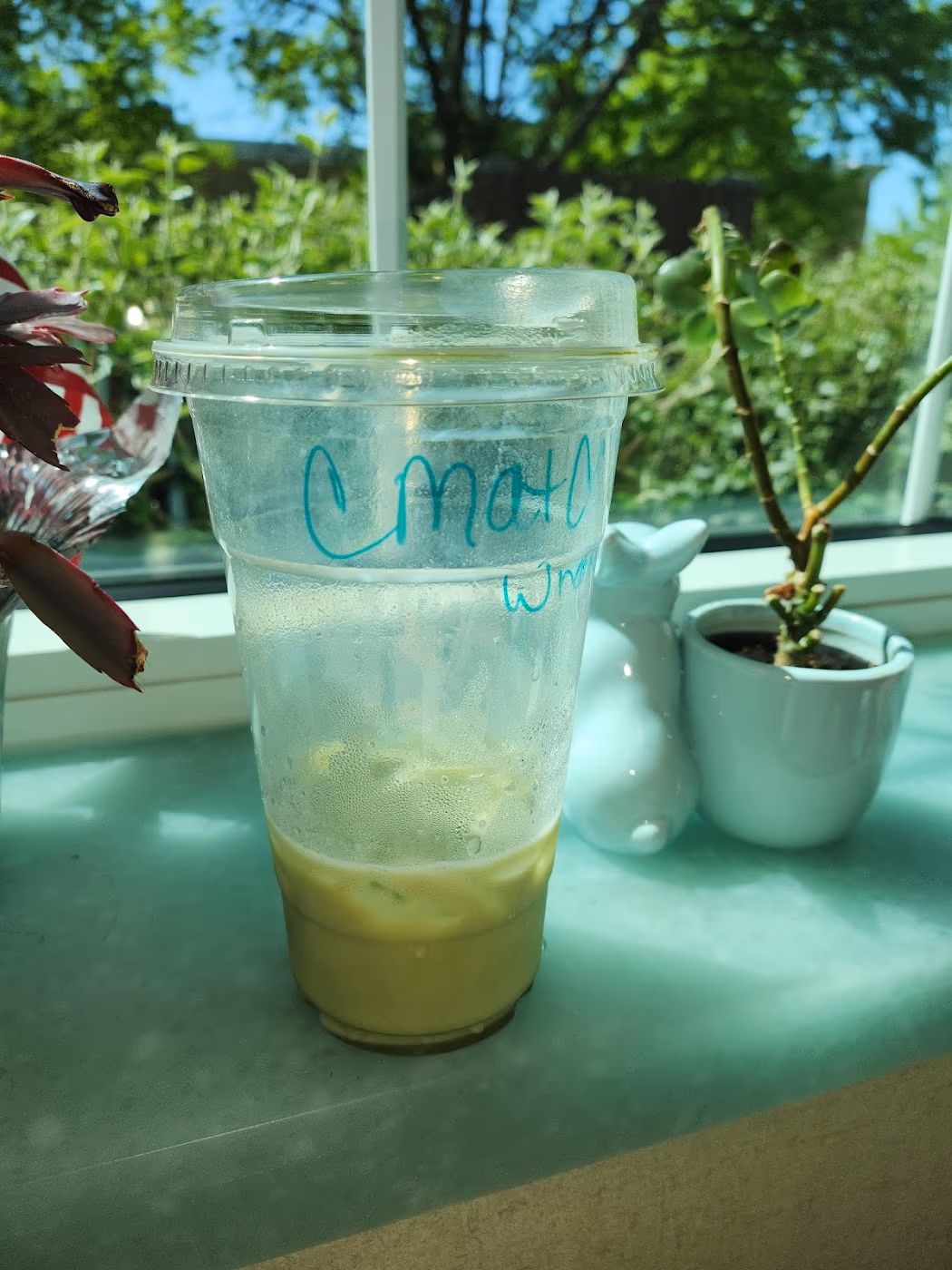 Gaia Cafe and Botanical photo 3