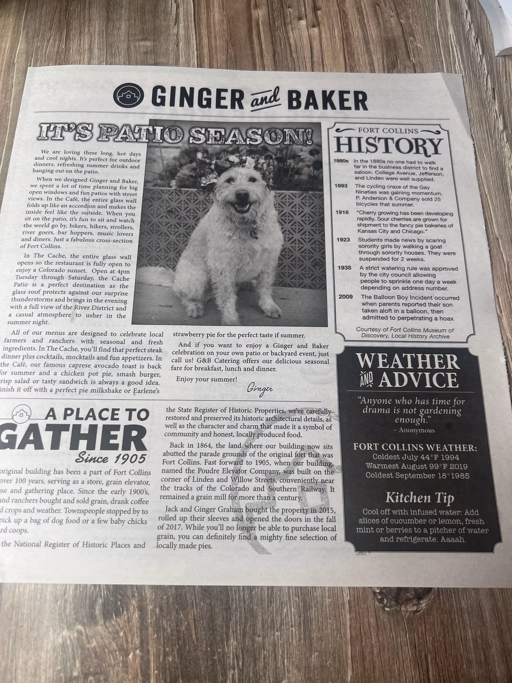 Ginger and Baker photo 3