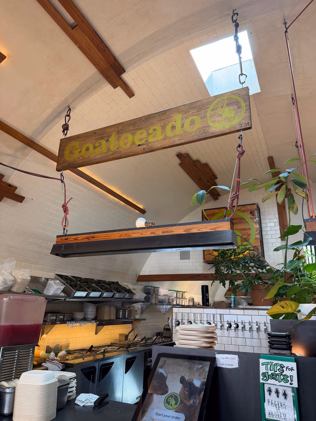 Goatocado photo 2