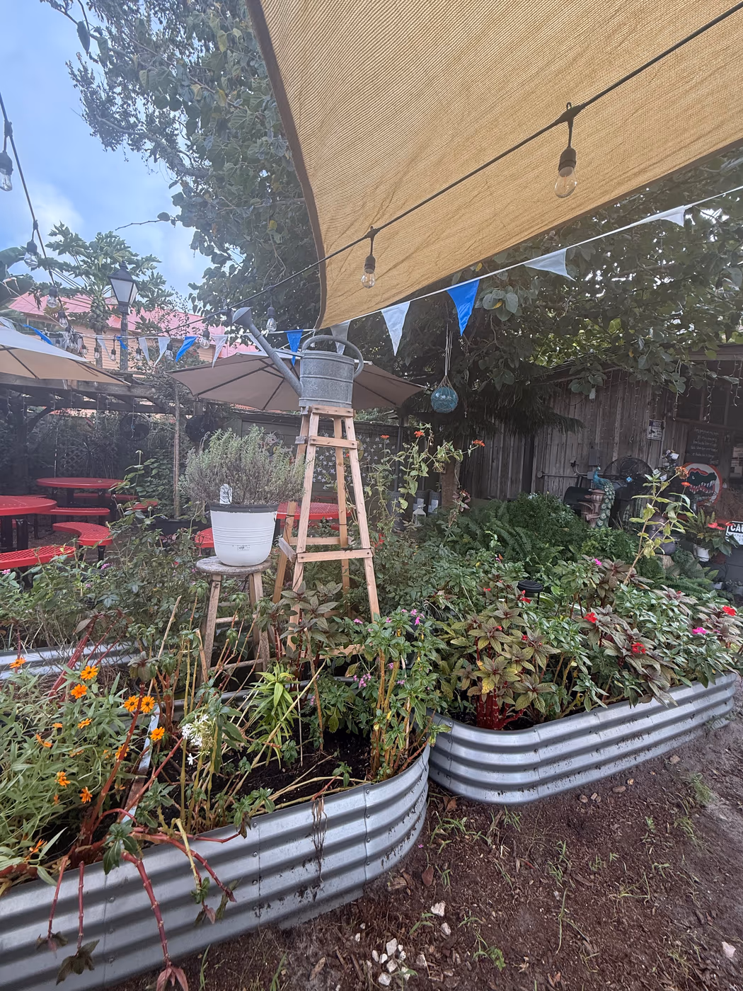 Gourmet Garden Indian Restaurant photo 4