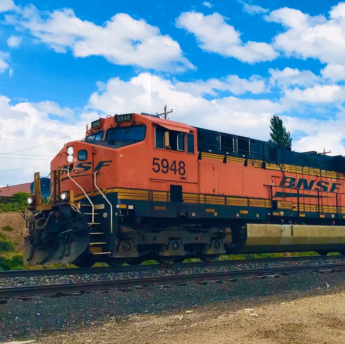 Grape Leaf Express Oregon photo 3