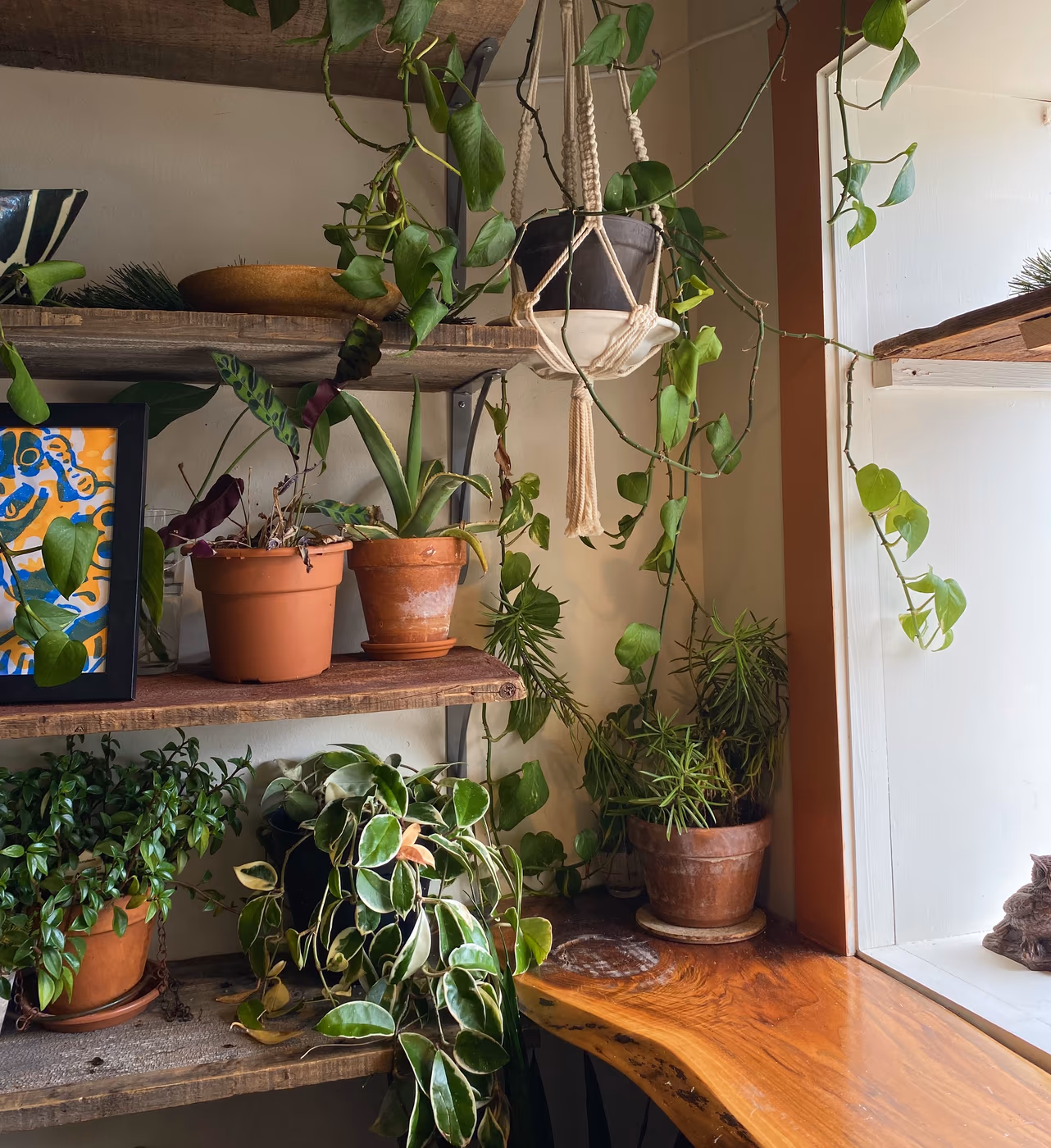 Green Owl Cafe photo 4