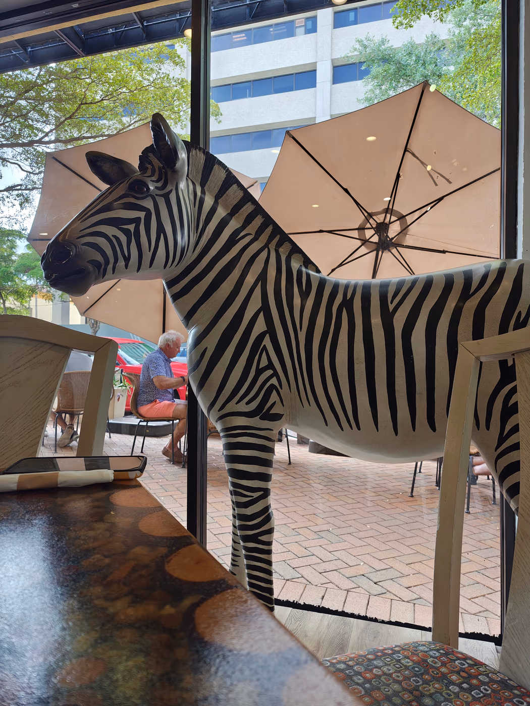 GREEN ZEBRA CAFE photo 3
