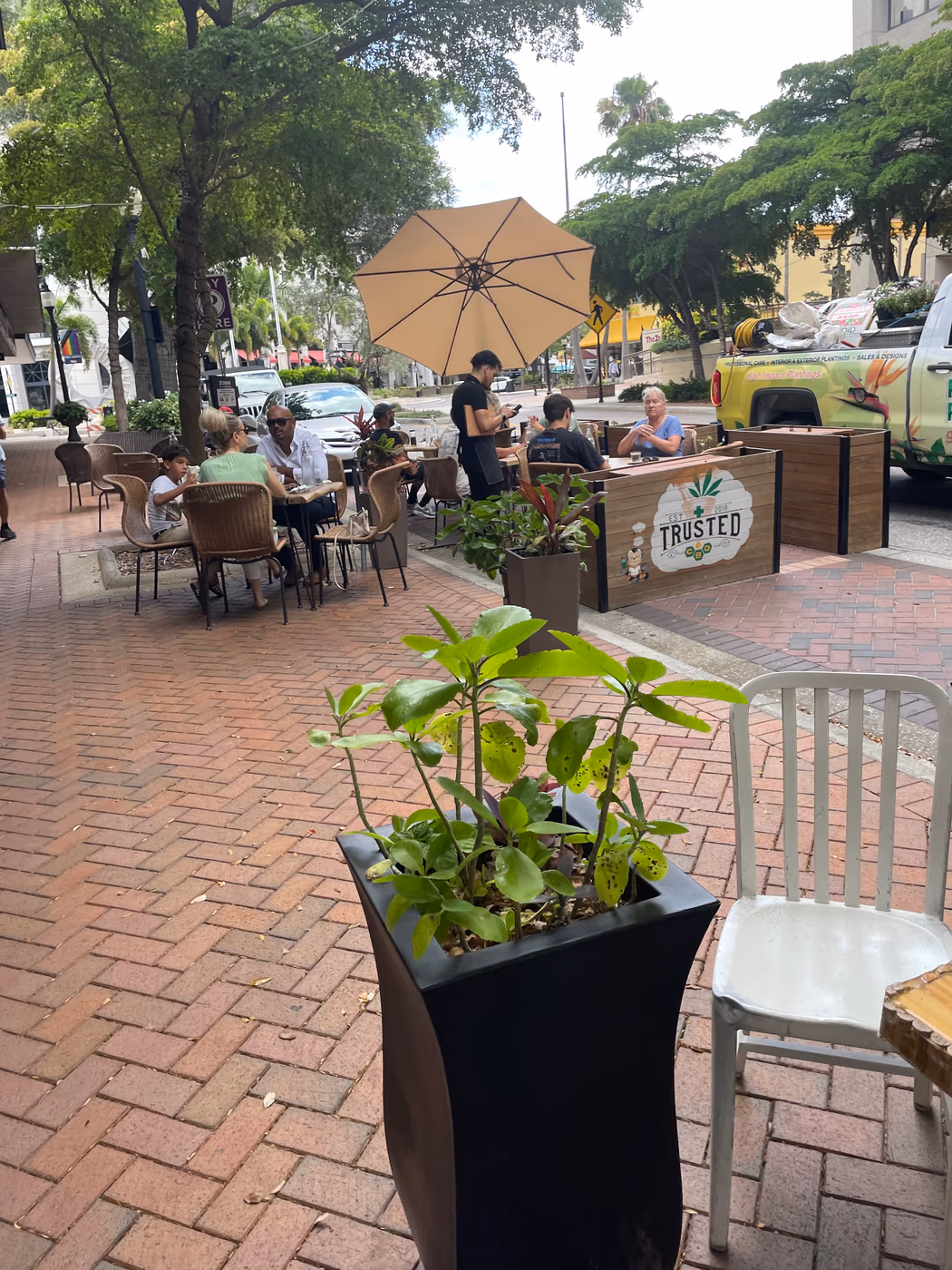 GREEN ZEBRA CAFE photo 3