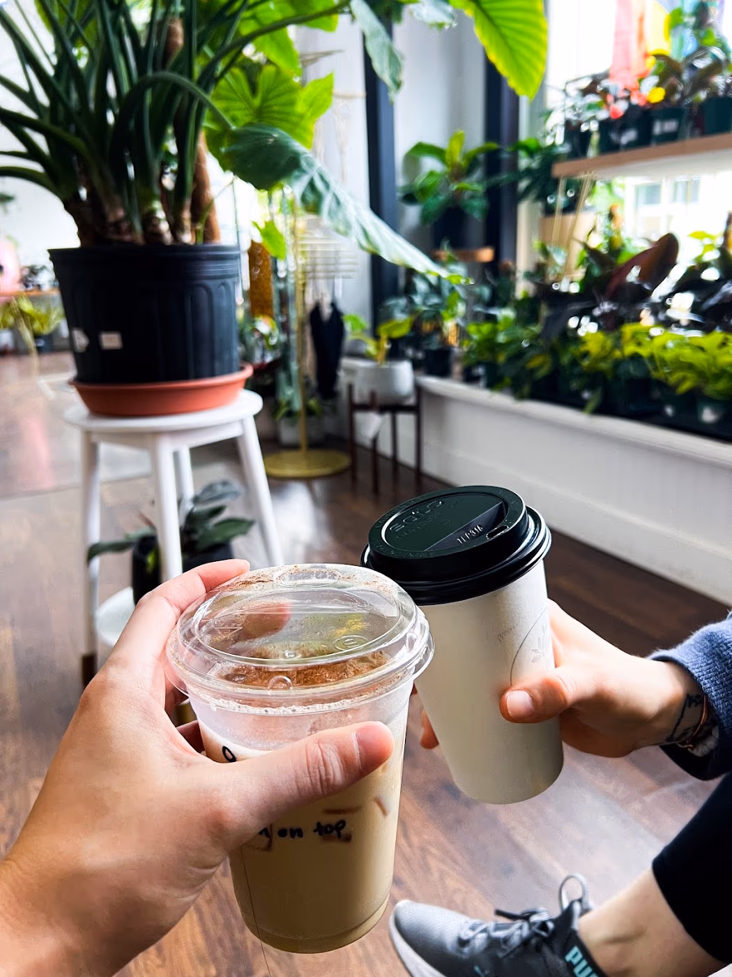Greenhouse Coffee + Plants photo 4