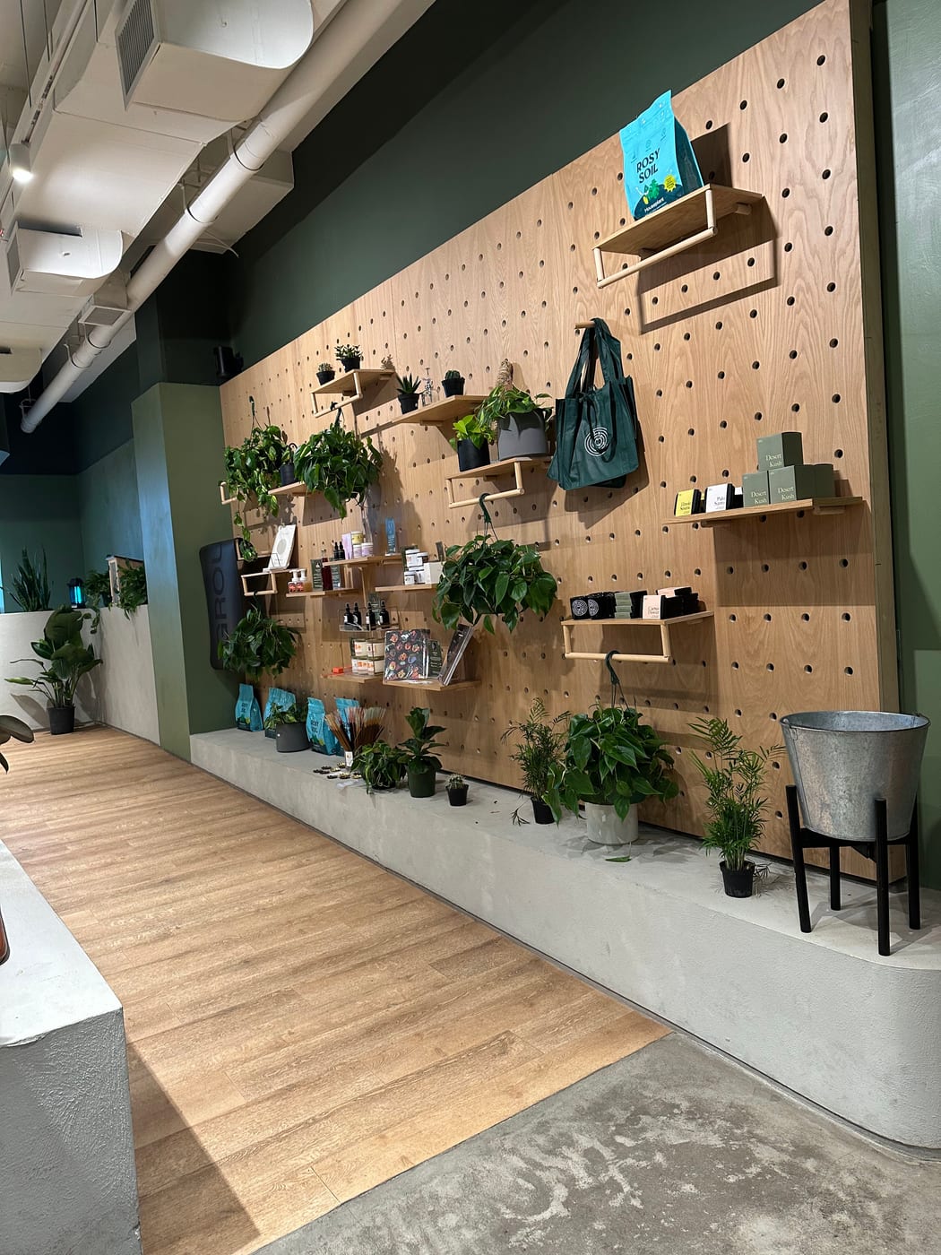 Grounded: Plant Shop, Cafe, & Wellness Studio