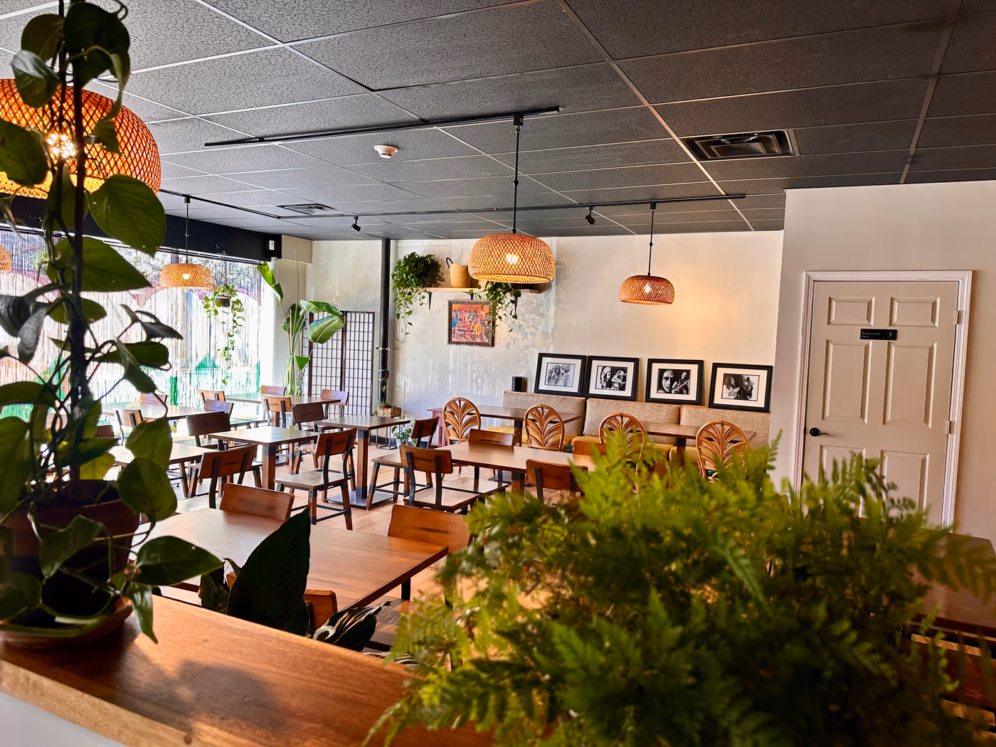 MoJo Hill Cafe (Formerly GVA) photo 3