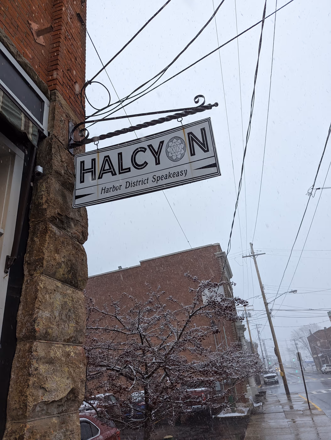 Harbor Halcyon photo 3