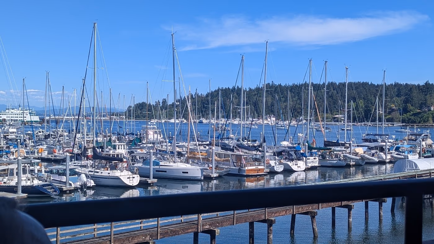 Harbour Public House