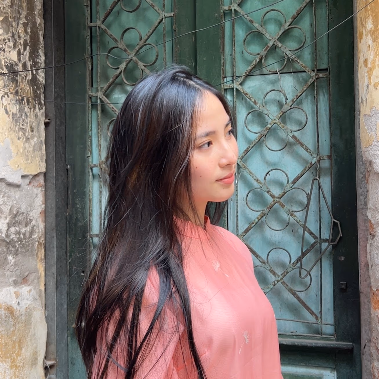 Hello Vietnam! Restaurant