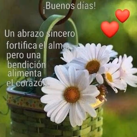 Herbalife