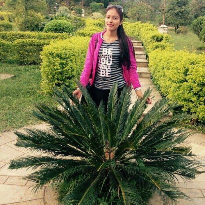 Himalaya's Momo photo 3