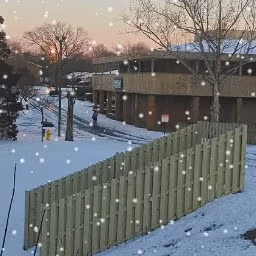 Hot Dog City