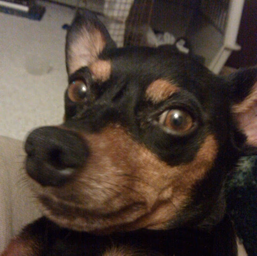 Hungry Charlie's Lunchbox photo 4