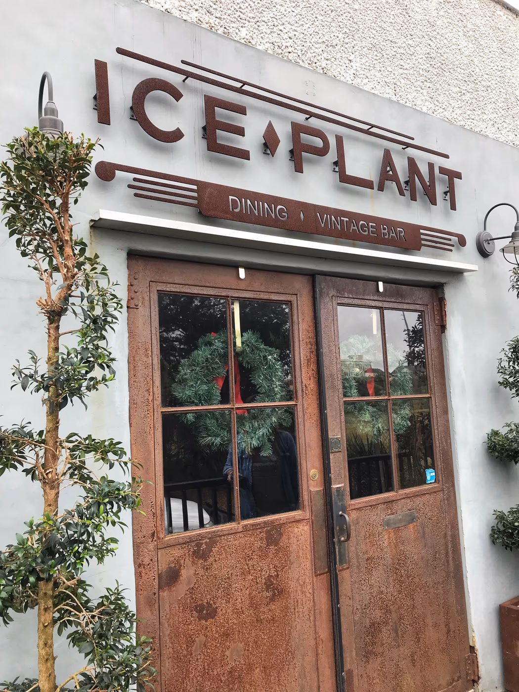 Ice Plant Bar