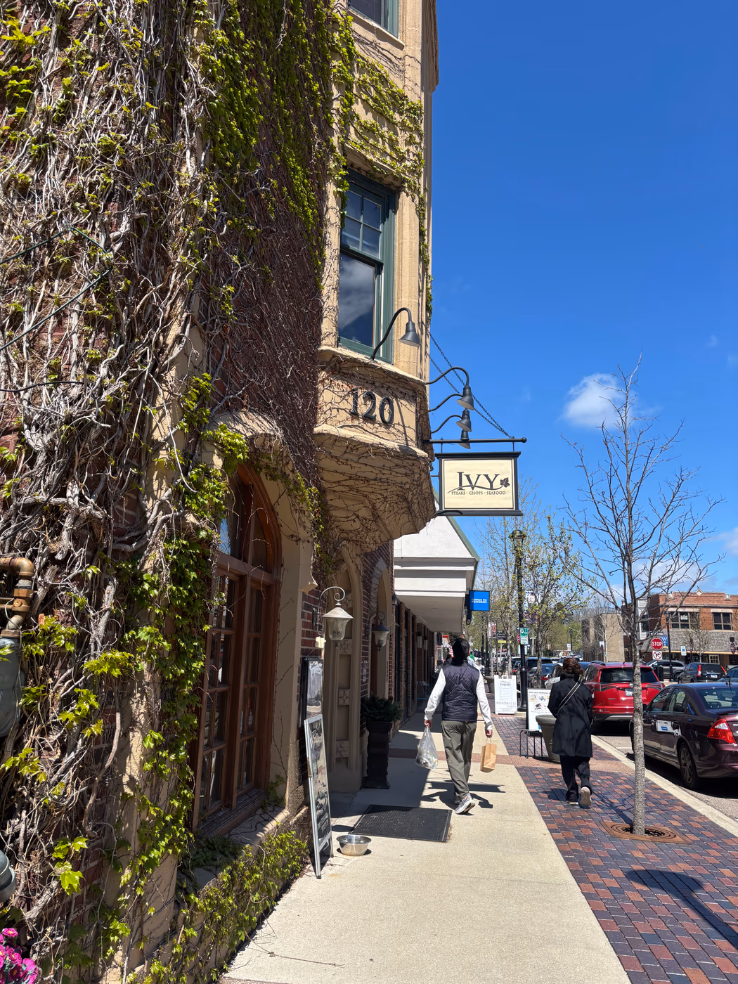 Ivy Restaurant