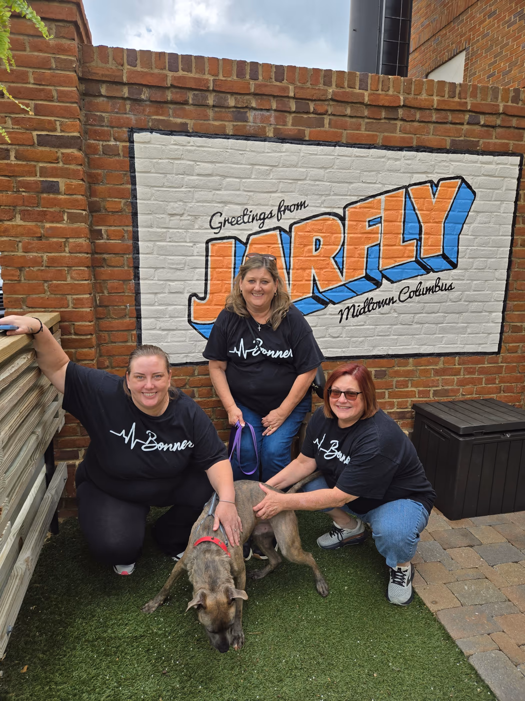 Jarfly