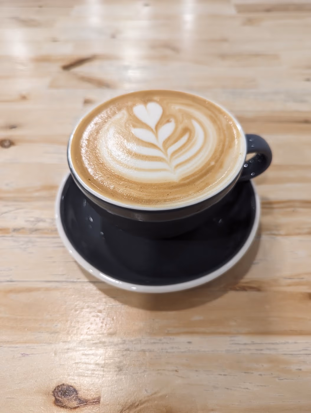 Kindred Coffee Roasters photo 4