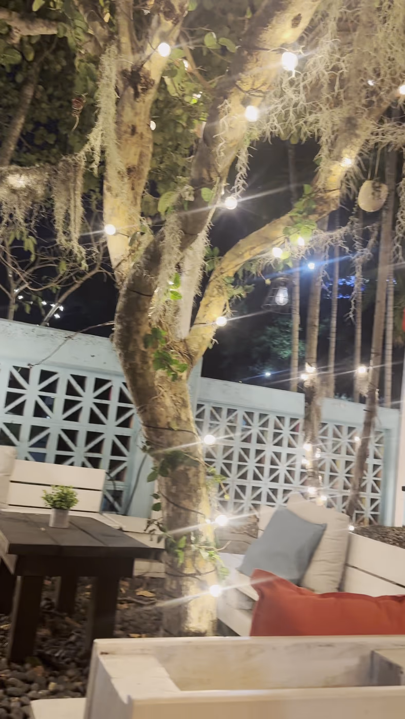 La Terraza Organic Restaurant photo 4