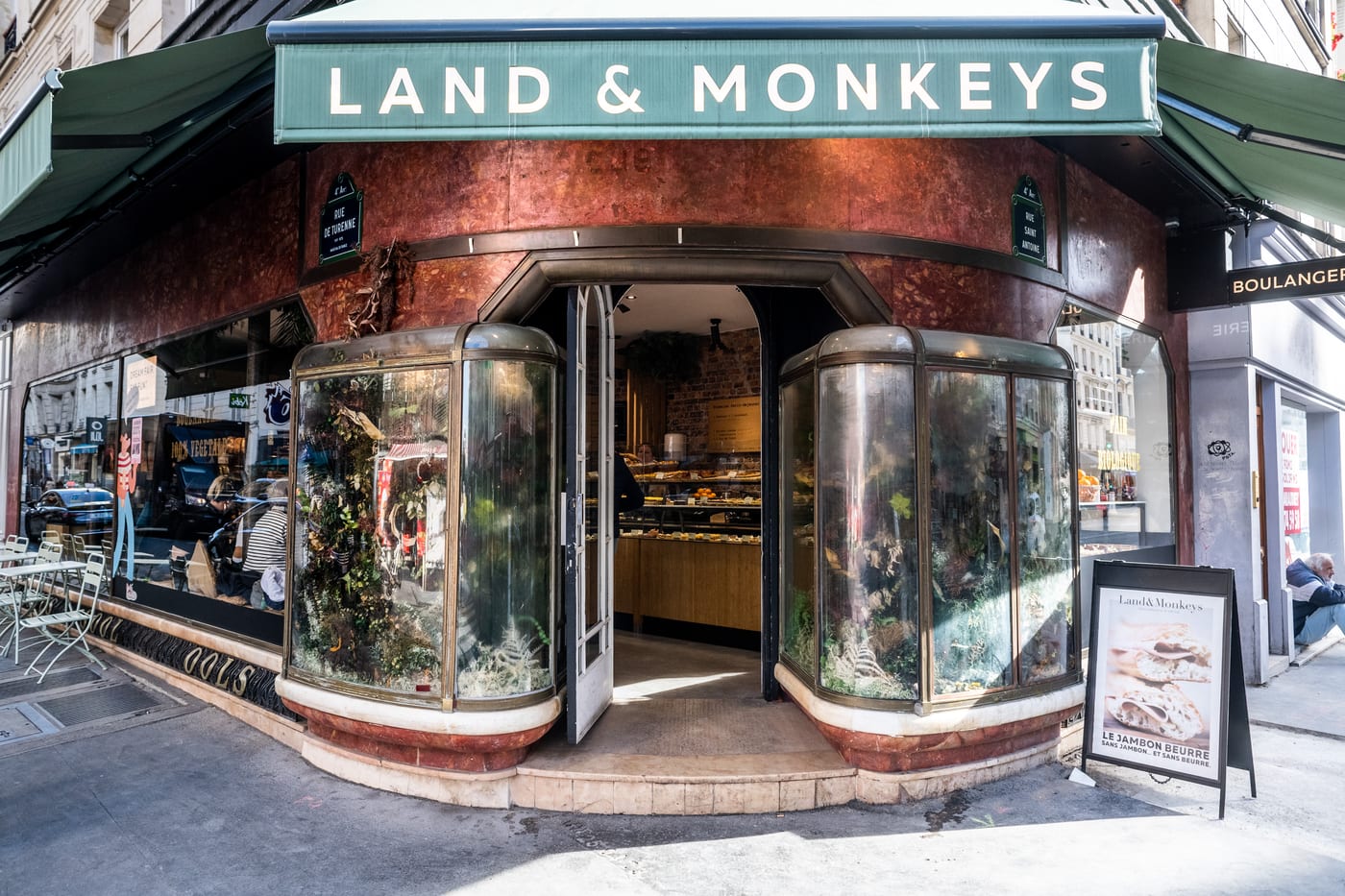 Land & Monkeys