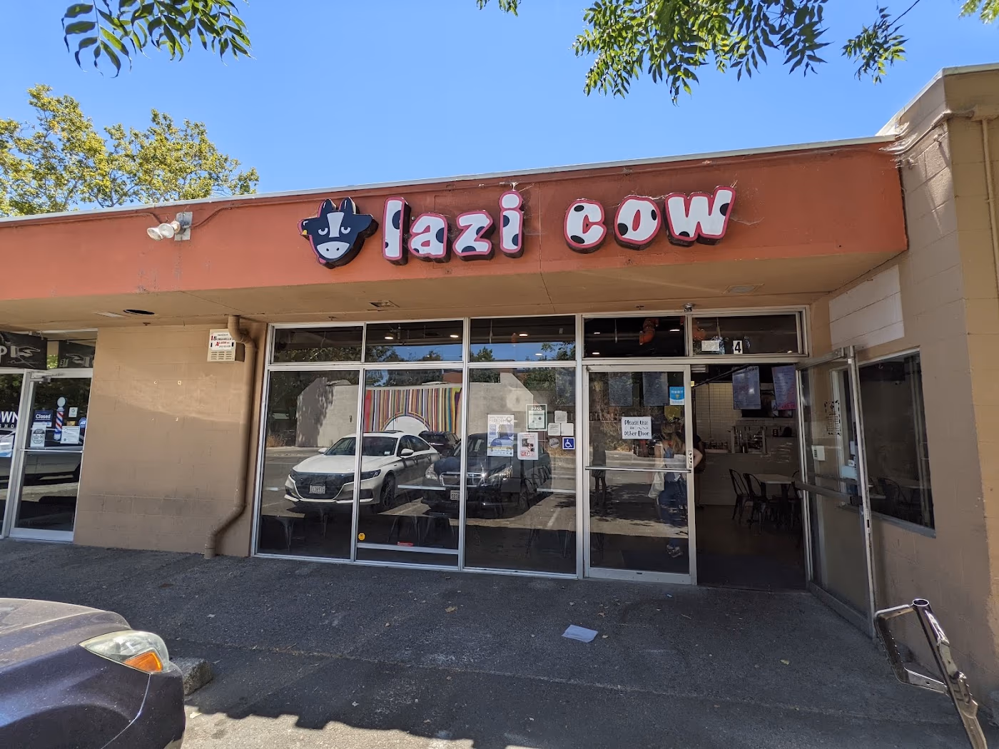Lazi Cow photo 2